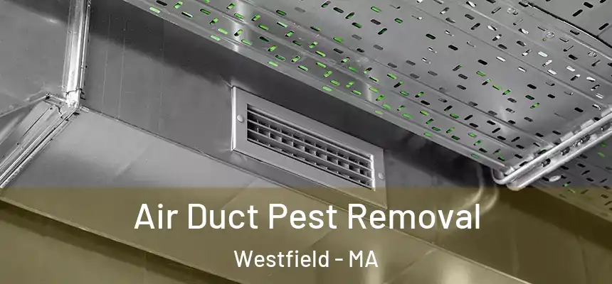 Air Duct Pest Removal Westfield - MA