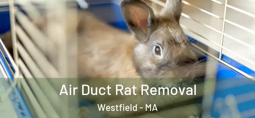 Air Duct Rat Removal Westfield - MA