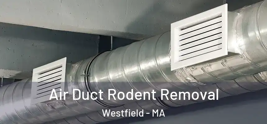  Air Duct Rodent Removal Westfield - MA