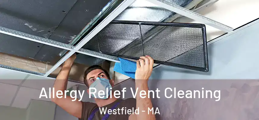Allergy Relief Vent Cleaning Westfield - MA