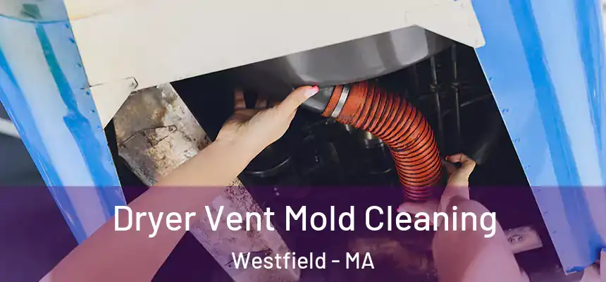  Dryer Vent Mold Cleaning Westfield - MA