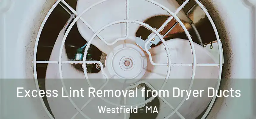  Excess Lint Removal from Dryer Ducts Westfield - MA