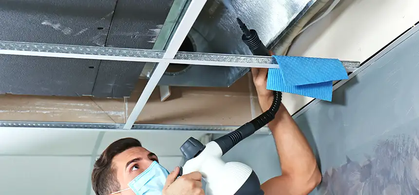 Our Air Duct Rodent Removal Services in Westfield, MA