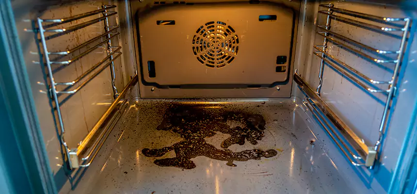 Our Dryer Vent Mold Cleaning Services in Westfield, MA