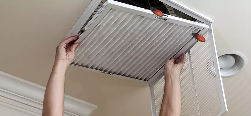 Our Insect Removal from Air Ducts Services in Westfield, MA