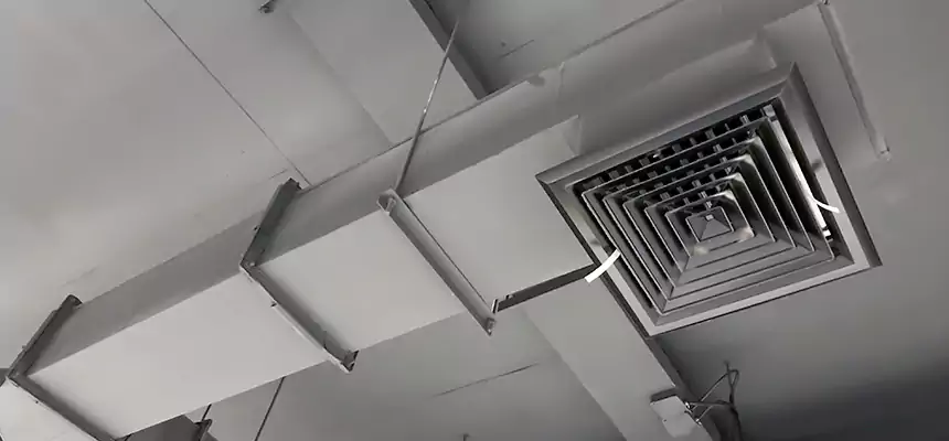 Our Rodent Droppings In Vents Services in Westfield, MA