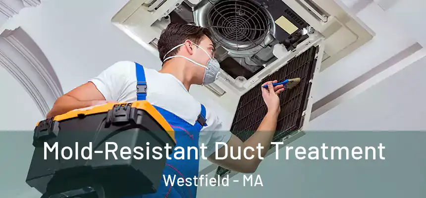 Mold-Resistant Duct Treatment Westfield - MA