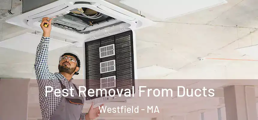  Pest Removal From Ducts Westfield - MA