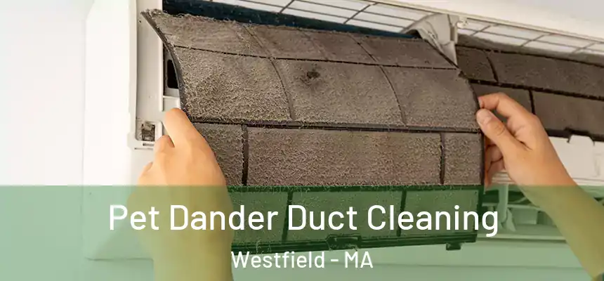 Pet Dander Duct Cleaning Westfield - MA