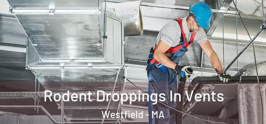 Rodent Droppings In Vents Westfield - MA