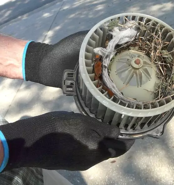 About Air Duct Mice Removal in Westfield, MA