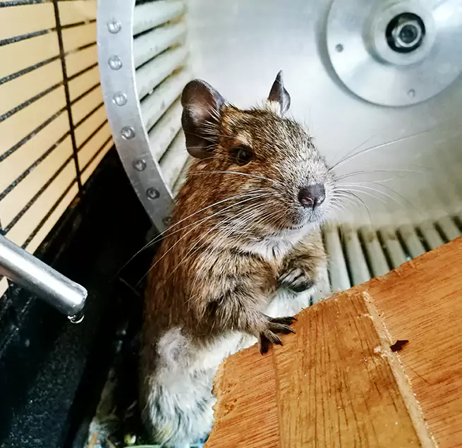 Why Homeowners & Businesses Trust Us Westfield, MA