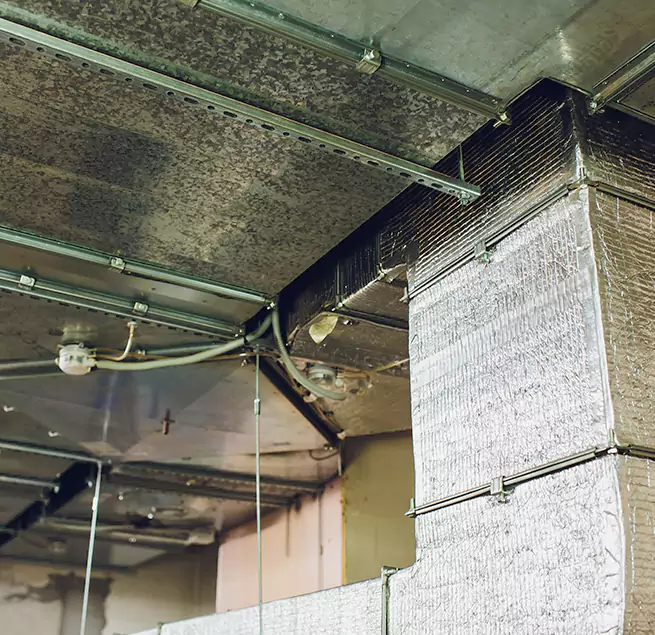 Why Homeowners & Businesses Trust Us in Westfield, MA?